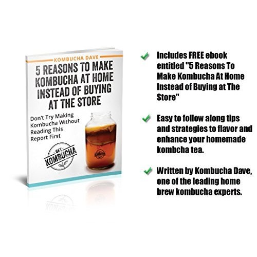 All Natural Organic Kombucha Scoby - Largest Kombucha Mother Cul