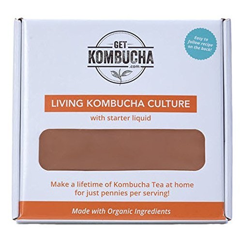 All Natural Organic Kombucha Scoby - Largest Kombucha Mother Cul