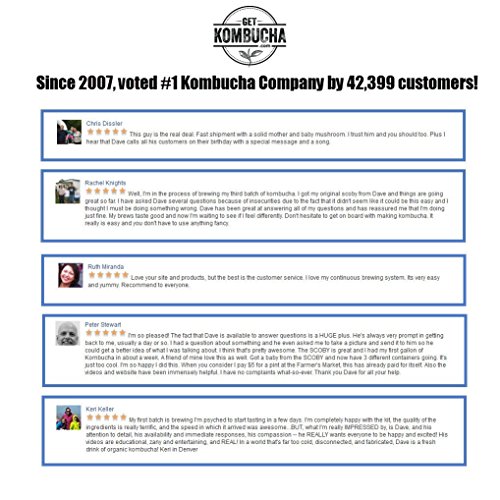 Get Kombucha, Certified Organic Kombucha Tea Blend - 60 Serving