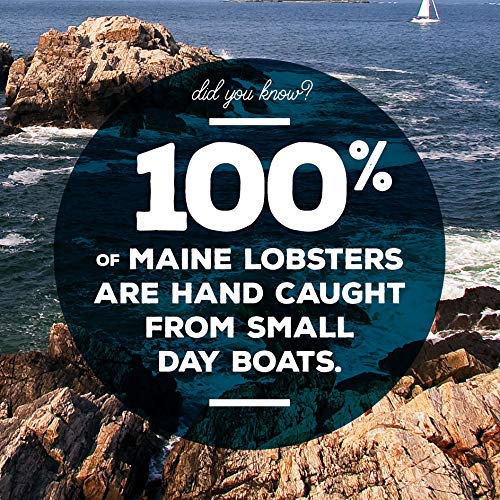 Maine Lobster Roll Kit For 12 - Fresh Frozen Lobster Meat From M