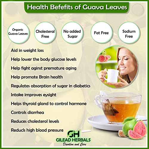 Gilead Herbals | Pure Guava Tea Leaves | 2 Oz | 200 Dried Whole ...