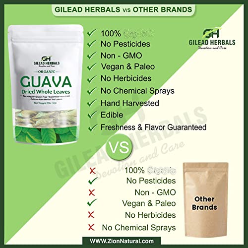 Gilead Herbals | Pure Guava Tea Leaves | 2 Oz | 200 Dried Whole ...