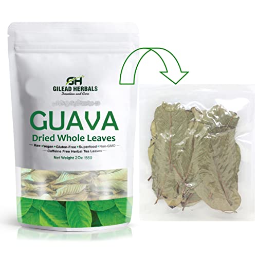 Gilead Herbals | Pure Guava Tea Leaves | 2 Oz | 200 Dried Whole ...