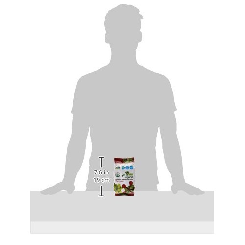 Gimme Snacks | Organic Roasted Seaweed | Teriyaki | 10G - Pac