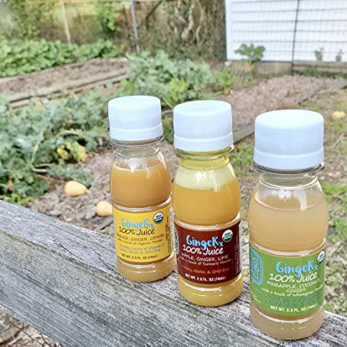 GingeRx Ginger Shots Orange Flavor | USDA Organic Ginger Juice |...
