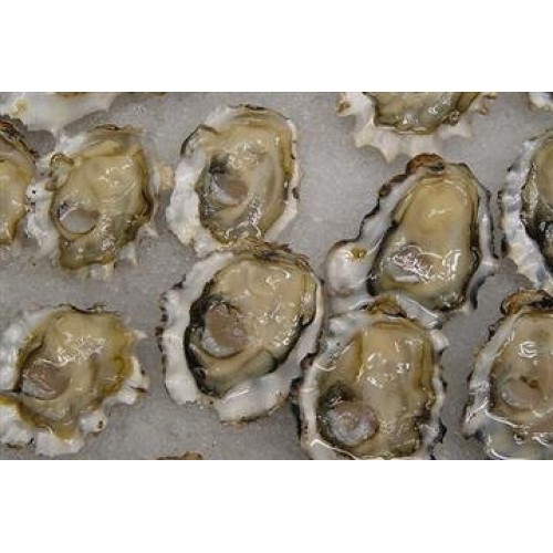 Fresh Live Cocktail Oysters In The Shell 2 Dozen Small