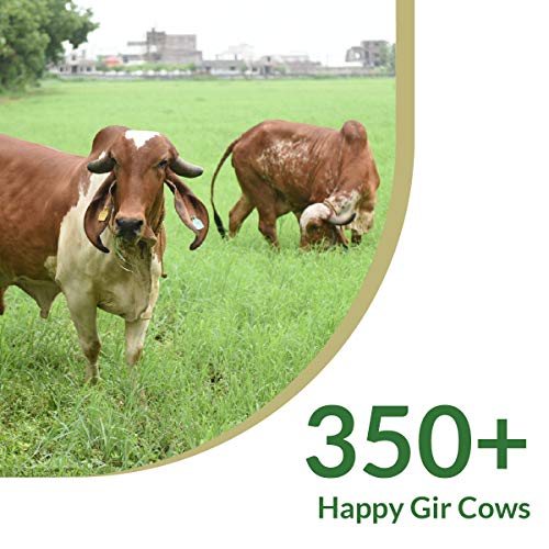 Girorganic Pure Organic Desi Cow Ghee, From Gir Cow, Prepared Th