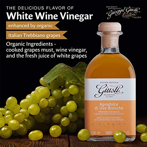 Giuseppe Giusti Organic White Wine Vinegar Condiment - Agrodolce