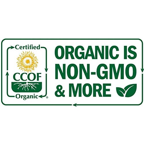 Kale Powder Organic 1 Lb. 100% Pure Non-Gmo Superfood Grown In G