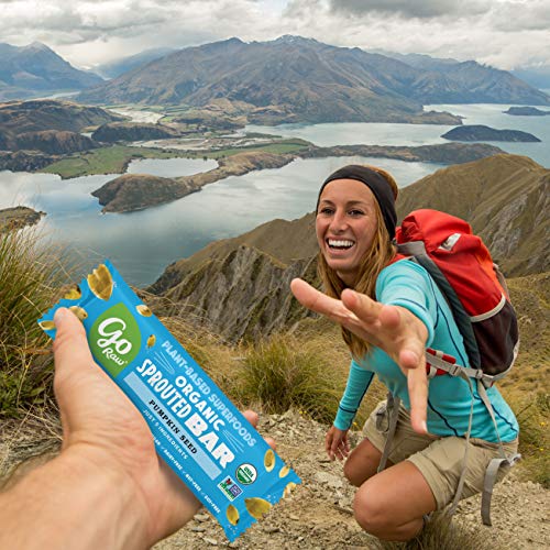 Go Raw Pumpkin Seed Bars | Keto | Gluten Free Snacks | Vegan | O