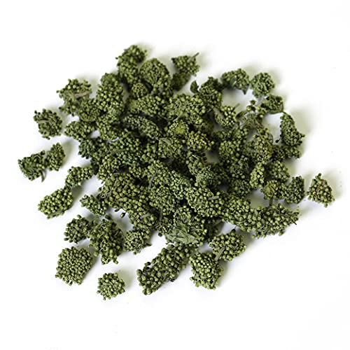 GOARTEA 100g / 3.5oz Panax Ginseng Dry Flower Sanqi Tianqi Notog...