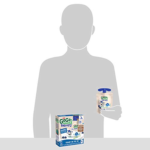 Gogo Squeez Yogurtz, Blueberry, 3 Ounce 4 Pouches, Low Fat Yog