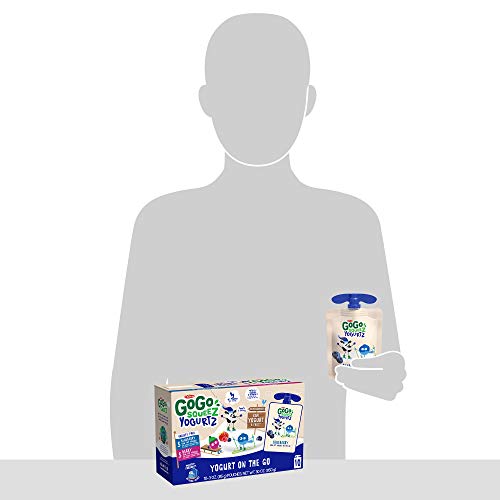 Gogo Squeez Yogurtz, Variety Pack Blueberry/Berry, 3 Ounce 60