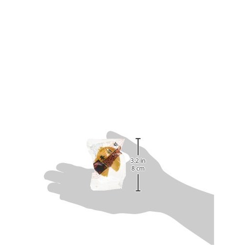 Golden Bowl 100 Individually Wrapped Traditional Fortune Cookies