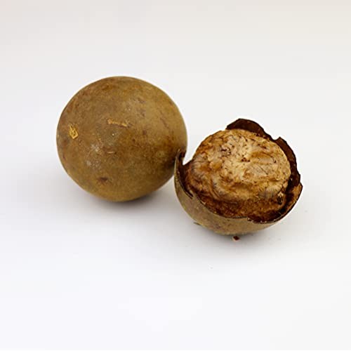 Luo Han Guo Premium Natural Dried Monk Fruit Chinese Herbal Tea ...