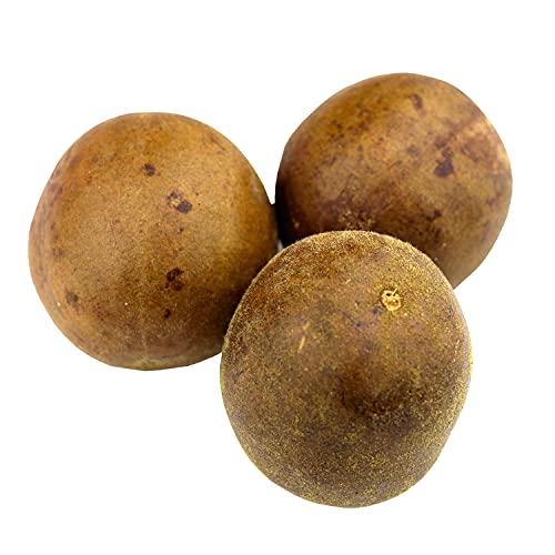 Luo Han Guo Premium Natural Dried Monk Fruit Chinese Herbal Tea ...