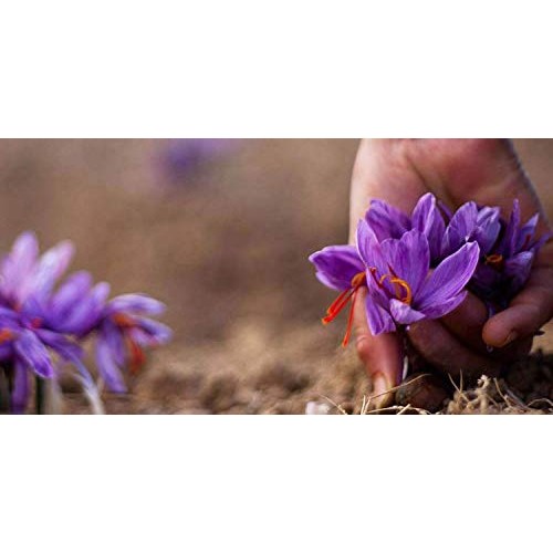 Golden Saffron, Saffron Extract 8825 Vegetarian - Best All Nat