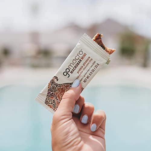 Gomacro Macrobar Mini Organic Vegan Snack Bars - Peanut Butter C