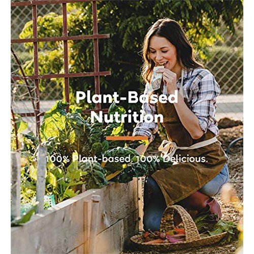 Gomacro Macrobar Organic Vegan Protein Bars - Mocha Chocolate Ch