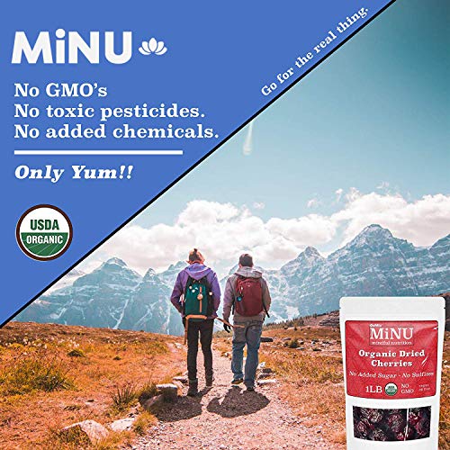 Gomix Minu Dried Fruit 1 Lb Organic Dried Pineapple