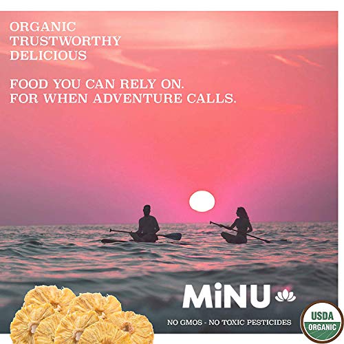 Gomix Minu Dried Fruit 1 Lb Organic Dried Pineapple