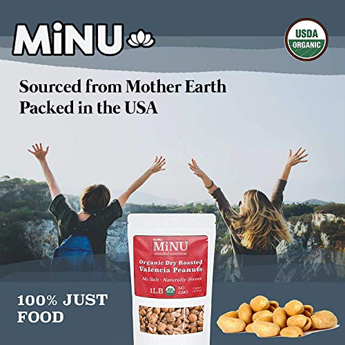 Gomix Minu Dried Fruit 1 Lb Organic Dried Pineapple