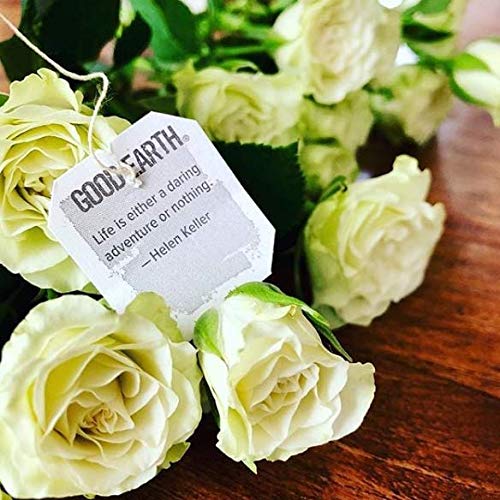 Good Earth Chai Tea, Wild Chaild, 18 Count Tea Bags Pack Of 6