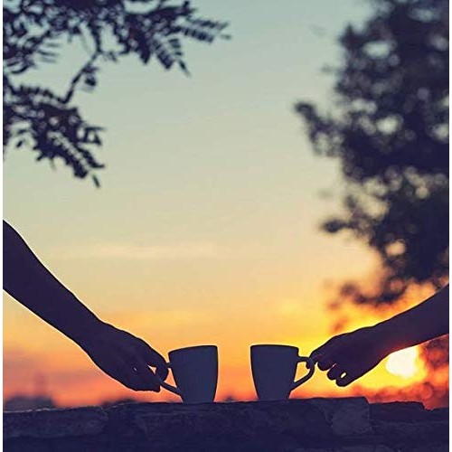 Good Earth Chai Tea, Wild Chaild, 18 Count Tea Bags Pack Of 6