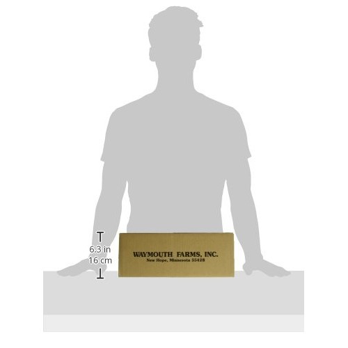 Good Sense | Sunflower Nuts | Roasted and Salted Sunflower Seeds...