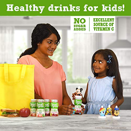Good2Grow 100% Apple And Fruit Punch Juice Refill, Variety Pack