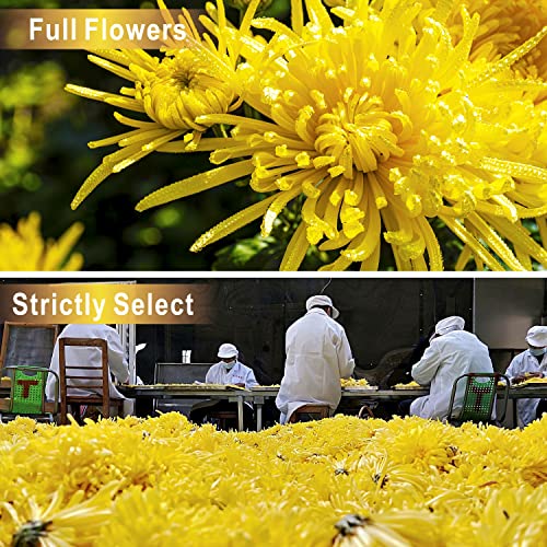 Goofoo Chrysanthemum Tea Jinsiju Whole Chinese Herbal Flower Loo...