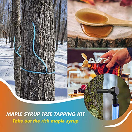 Gornorva Maple Syrup Tree Tapping Kit, 12 Set Maple Tree Extract