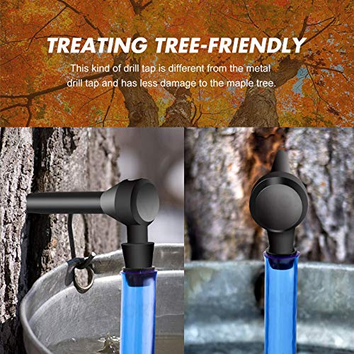 Gornorva Maple Syrup Tree Tapping Kit, 12 Set Maple Tree Extract