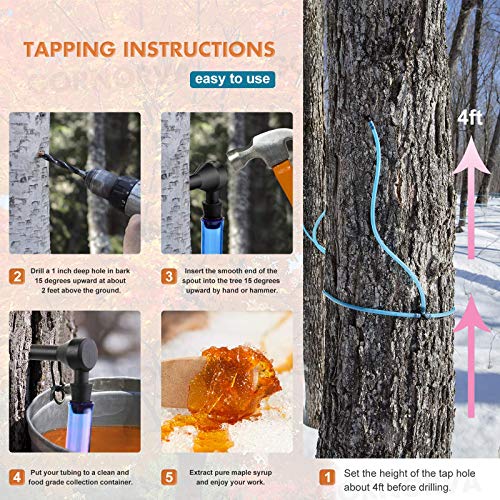 Gornorva Maple Syrup Tree Tapping Kit, 12 Set Maple Tree Extract