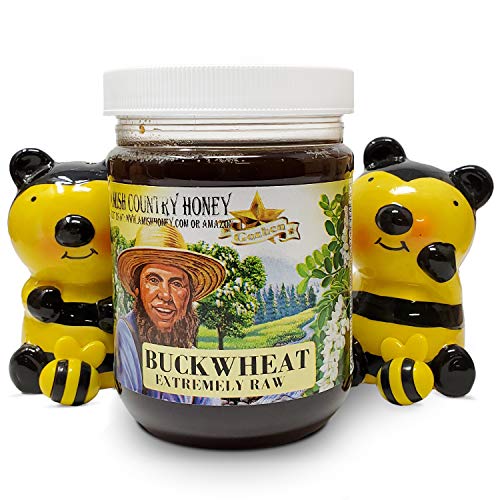 Goshen Honey Amish Extremely Raw Buckwheat Honey 100% Natural Ho