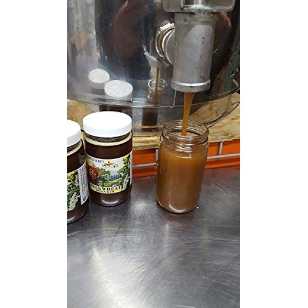 Goshen Honey Amish Extremely Raw Buckwheat Honey 100% Natural Ho...