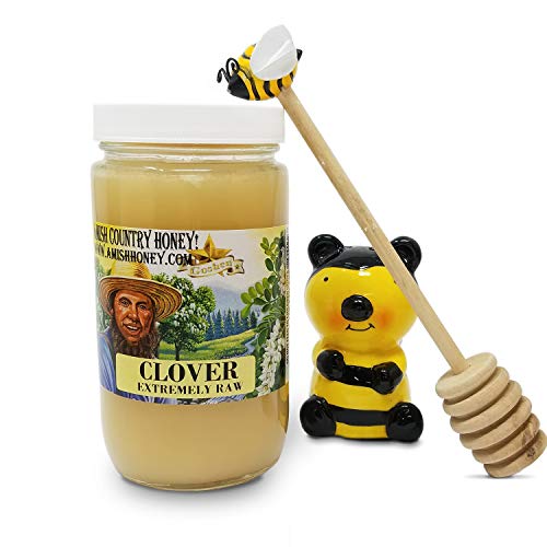 Goshen Honey Amish Extremely Raw Clover Honey 100% Natural Domes