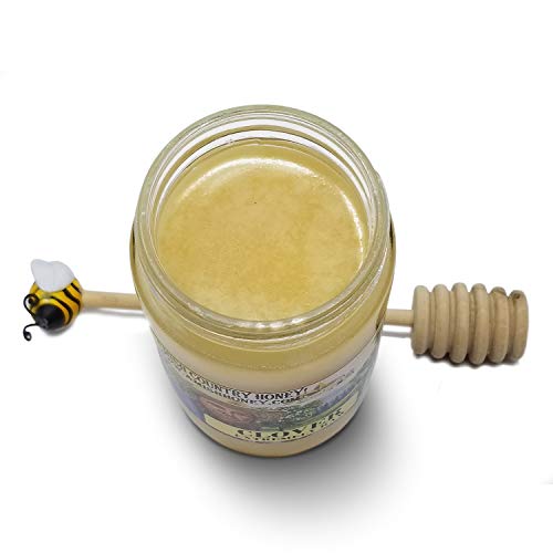 Goshen Honey Amish Extremely Raw Clover Honey 100% Natural Domes