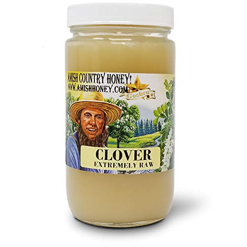 Goshen Honey Amish Extremely Raw Clover Honey 100% Natural Domes