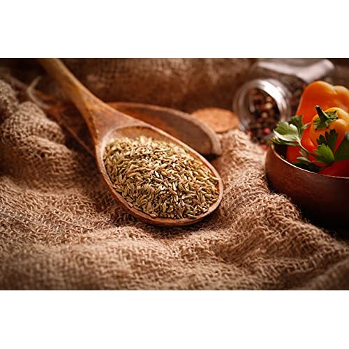 Gourmanity 1Lb Premium Whole Fennel Seeds Bulk, Fennel Seed Bulk