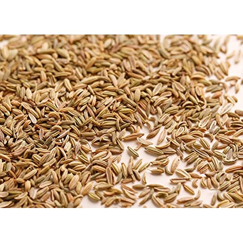 Gourmanity 1Lb Premium Whole Fennel Seeds Bulk, Fennel Seed Bulk