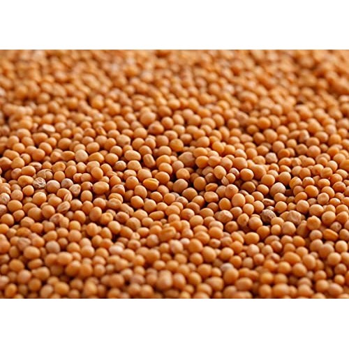 Gourmanity Yellow Mustard Seeds 1Lb: Canadian Mustard Seeds Whol