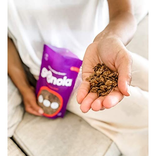 Gr8Nola Cinnamon Chai - Healthy, Low Sugar, Vegan Granola Cereal