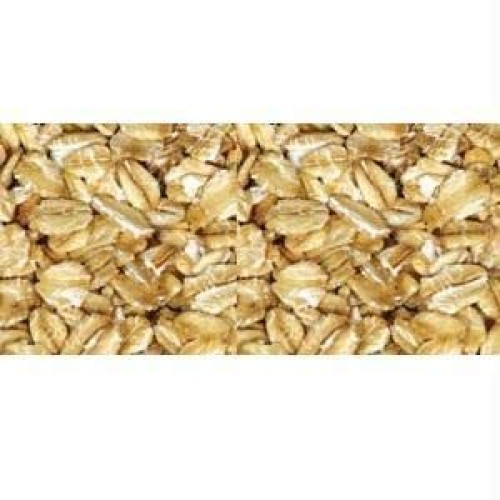 Grain Millers Organic Thick Rolled Oat, 50 Pound - 1 Each.