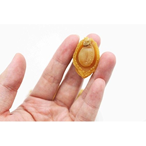 Dried Seafood Dried Mini-Sized Dalian Abalone 袖珍小鮑魚 Free In