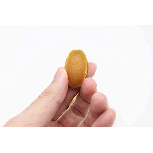 Dried Seafood Dried Mini-Sized Dalian Abalone 袖珍小鮑魚 Free In