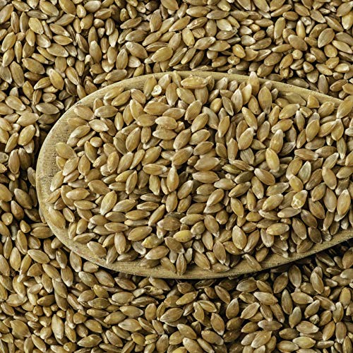 Organic Einkorn Berries - 5 Lbs