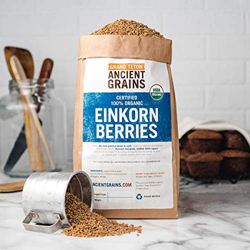 Organic Einkorn Berries - 5 Lbs