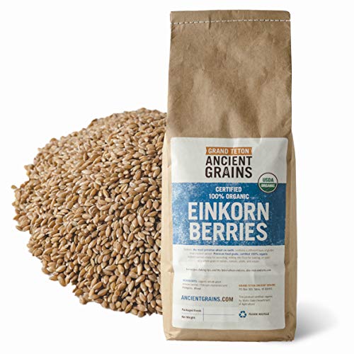 Organic Einkorn Berries - 5 Lbs