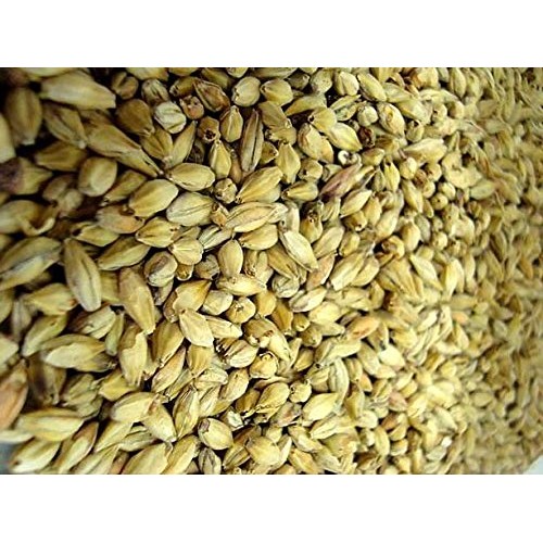 Durst Munich 40 Ebc Malt- 55 Lb Bag Whole